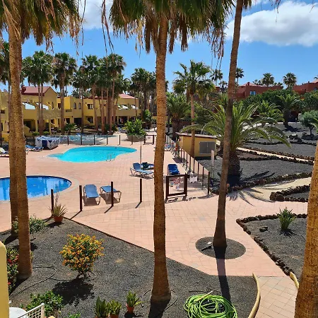 Oasis Royal F320 Corralejo