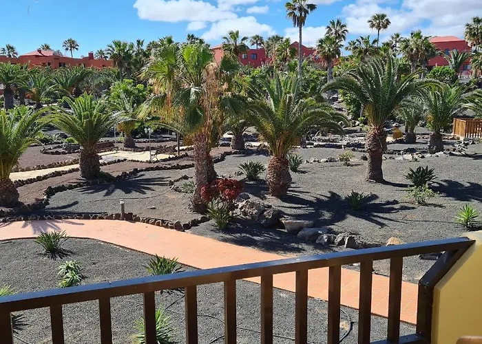 Oasis Royal F320 * Corralejo